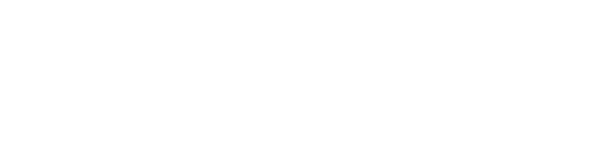 Taiga Business Solutions